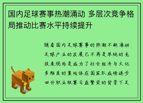 国内足球赛事热潮涌动 多层次竞争格局推动比赛水平持续提升